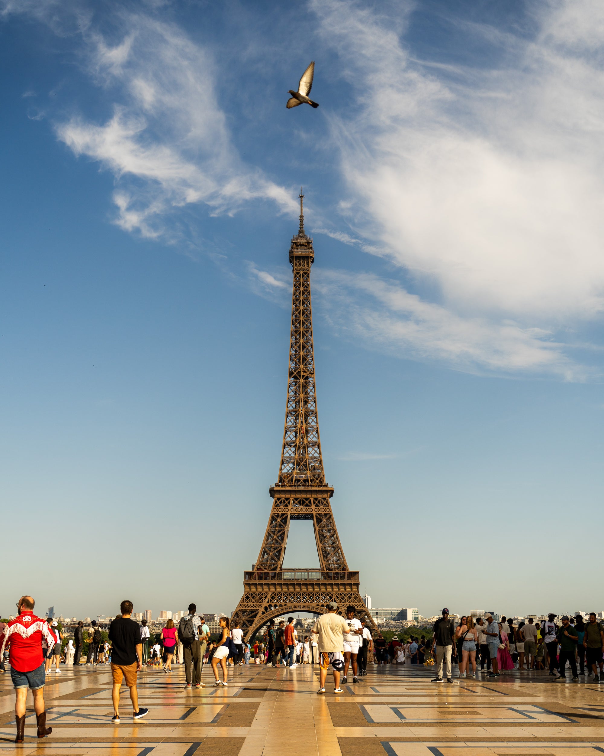 Flight Over Tracadéro
