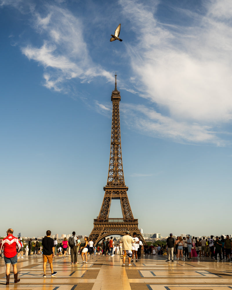 Flight Over Tracadéro