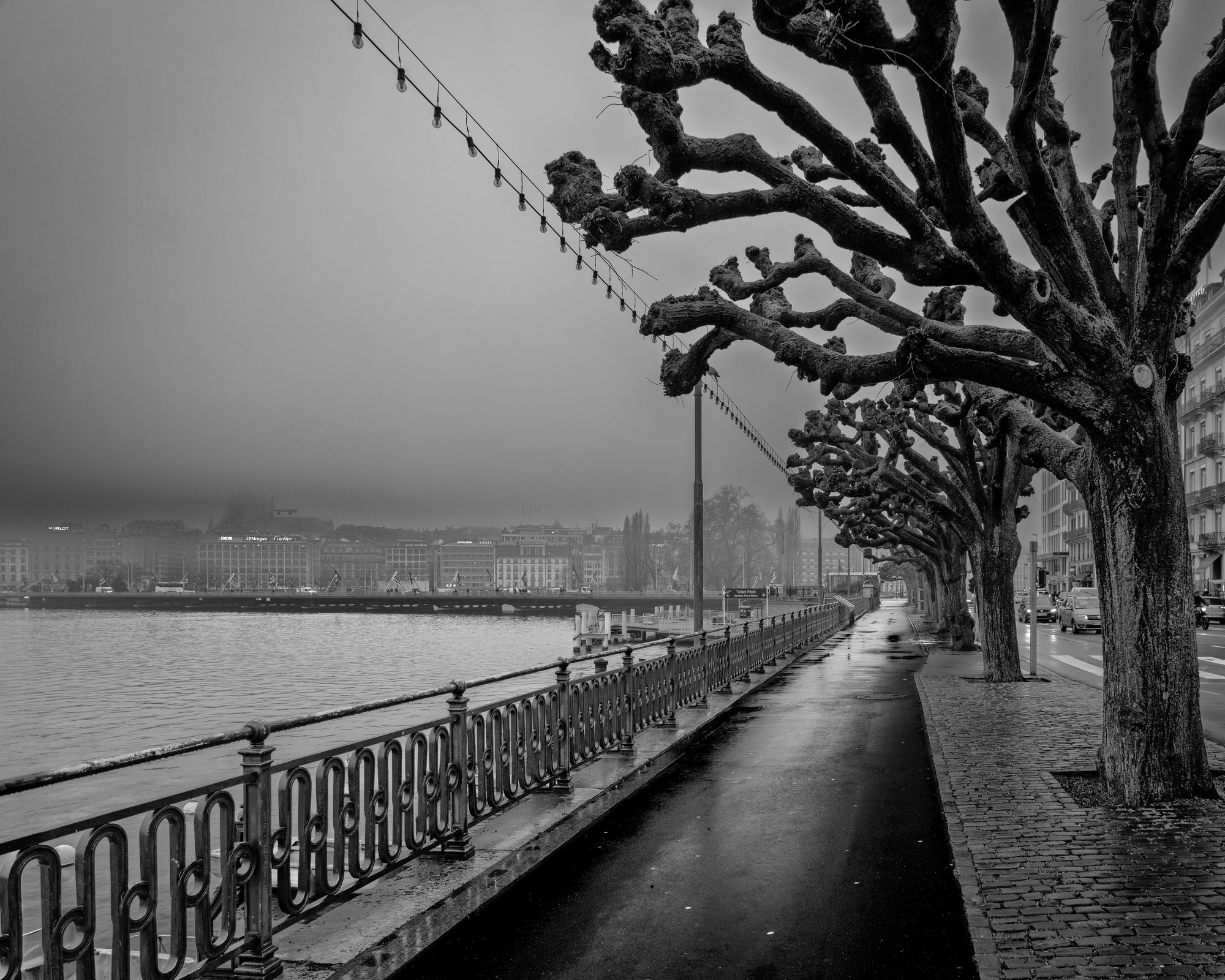 Brume de Genève