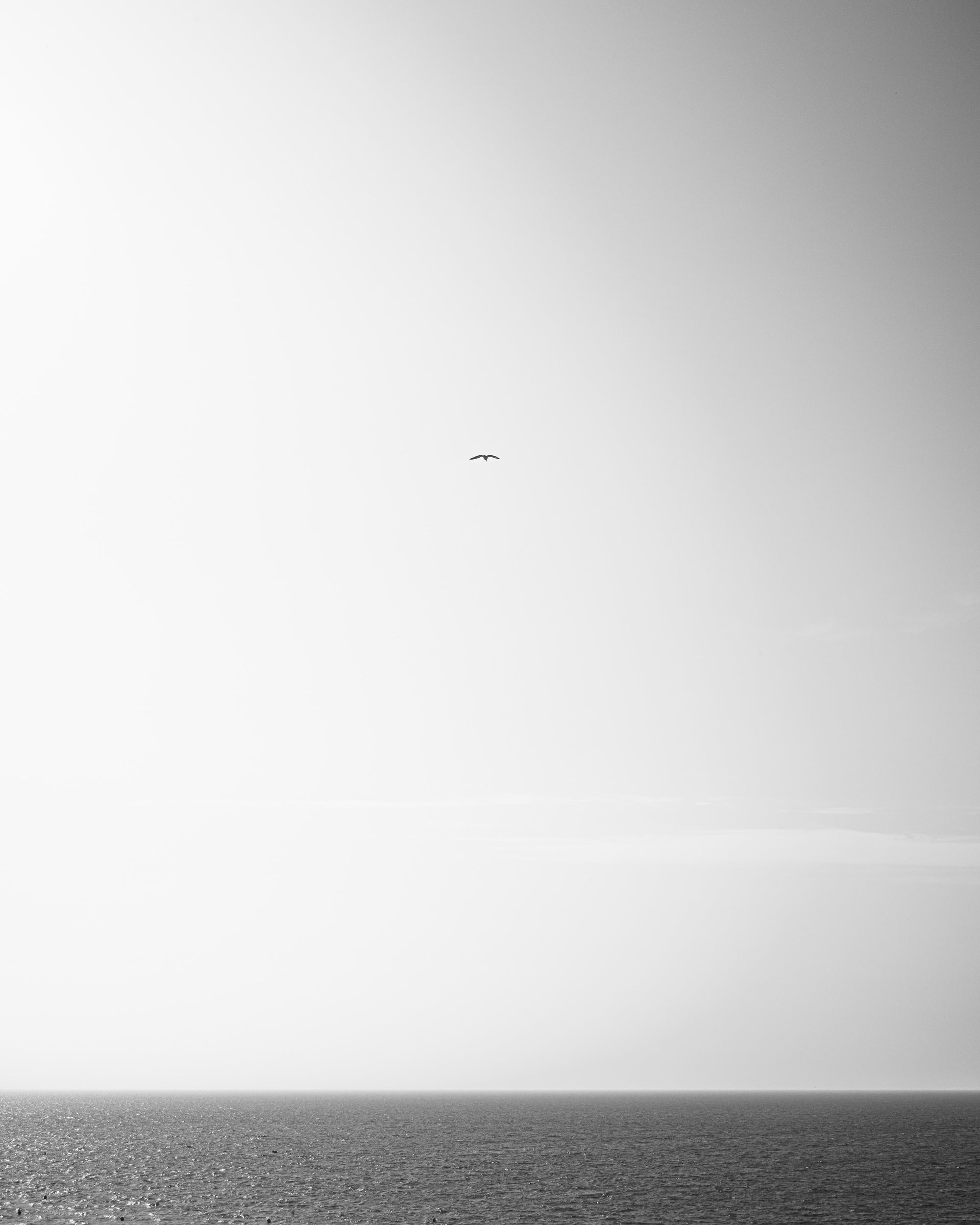 Between Nothing and the Sea