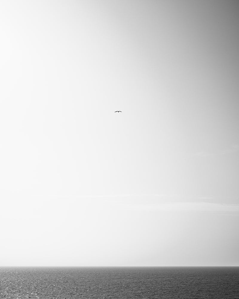 Between Nothing and the Sea